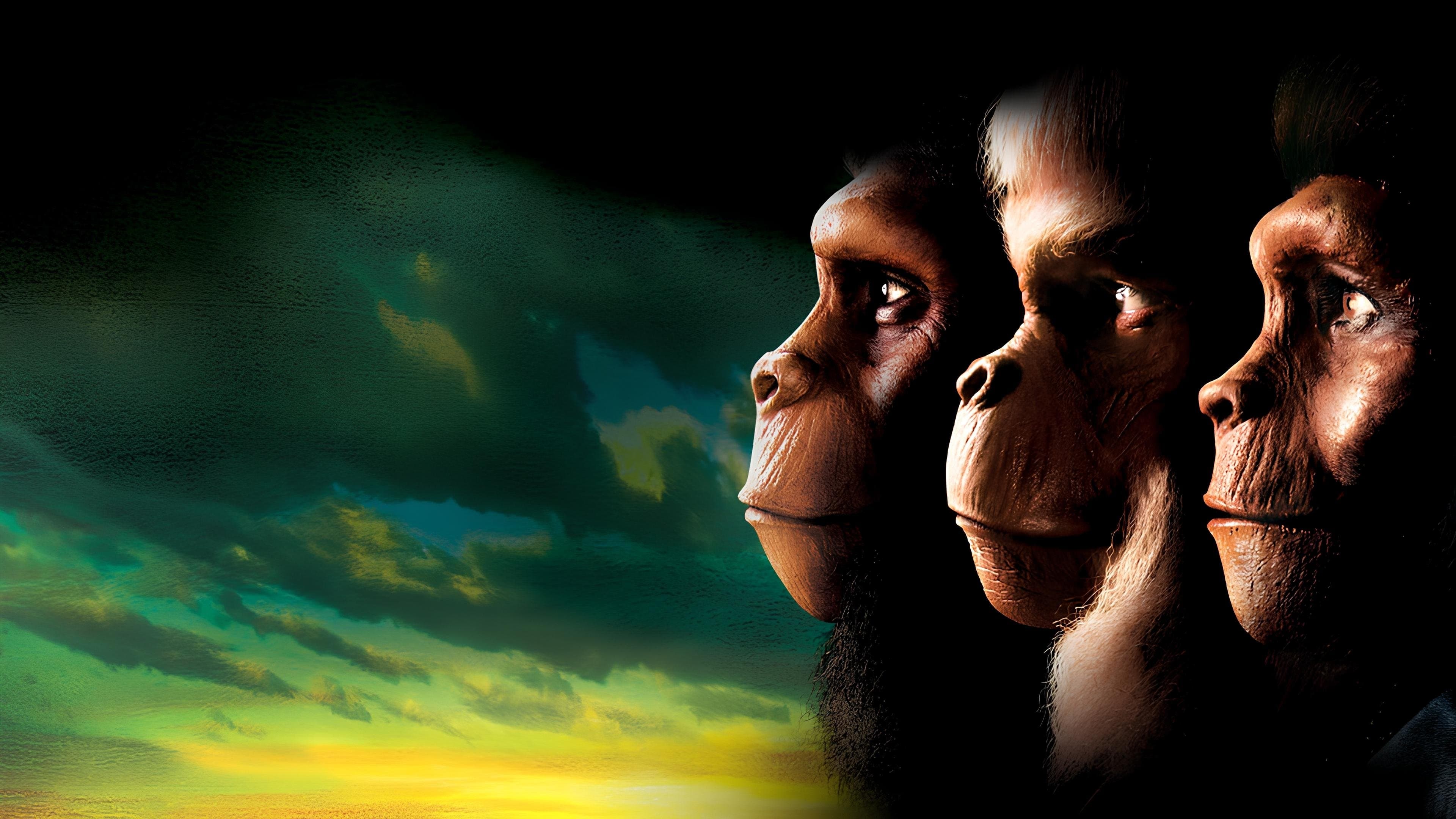 Planet of the Apes Backdrop