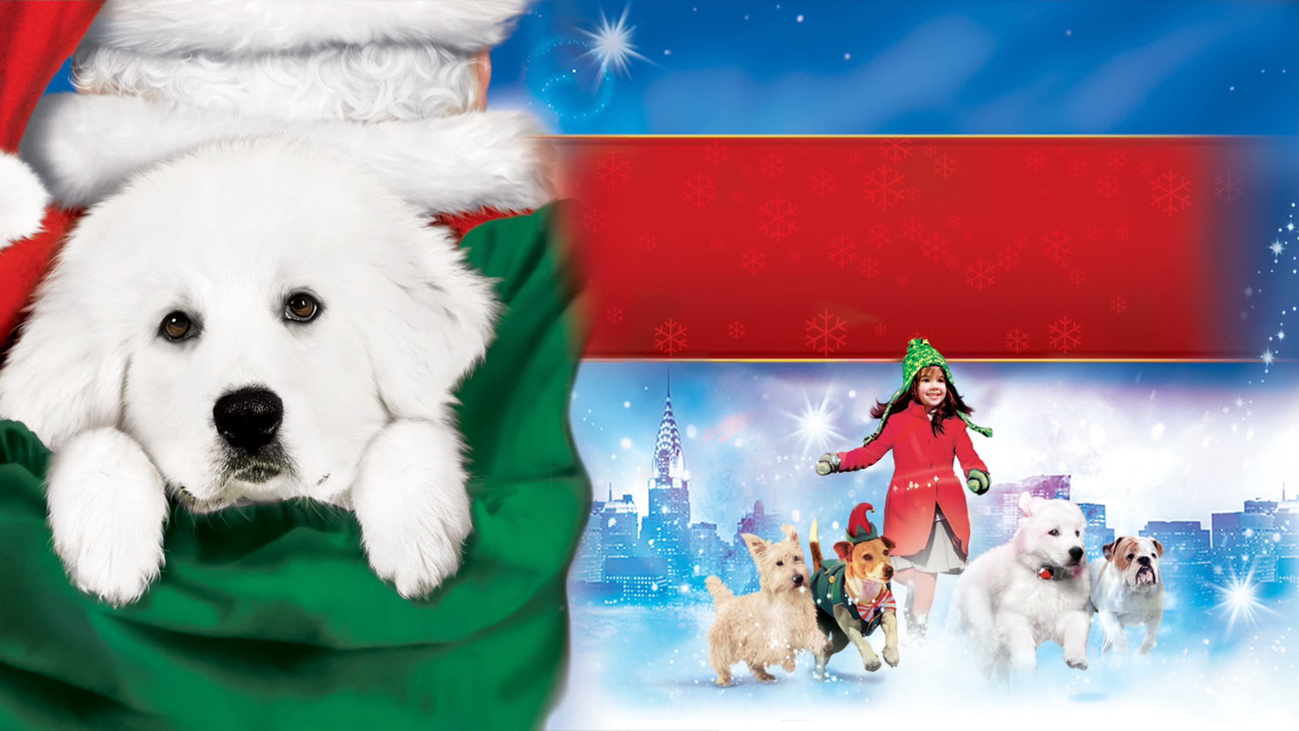 The Search for Santa Paws Backdrop