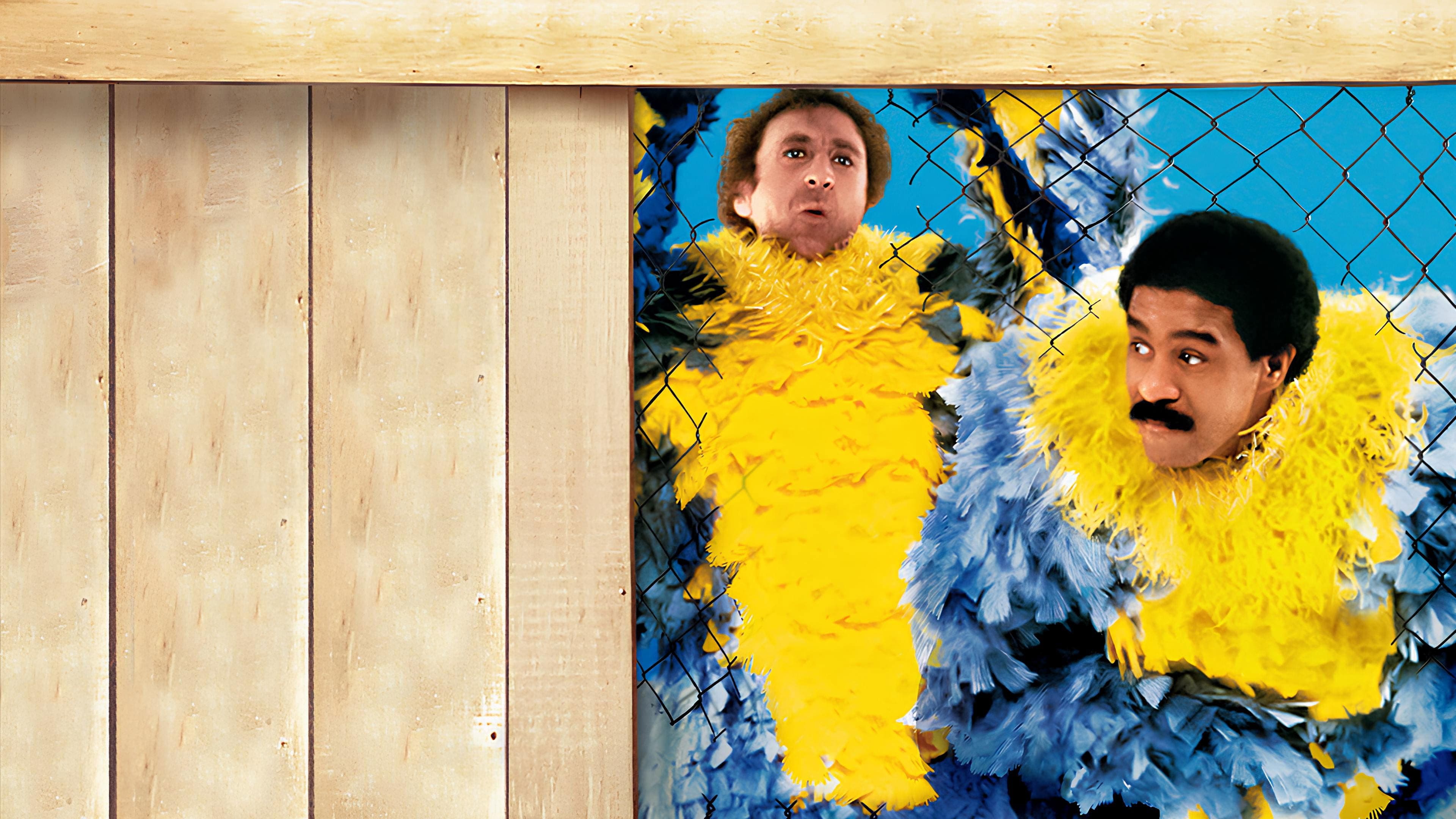 Stir Crazy Backdrop