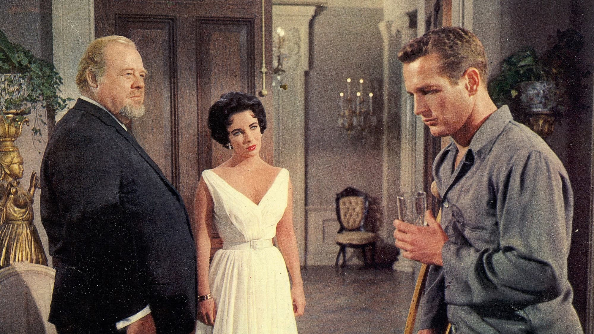 Cat on a Hot Tin Roof Backdrop