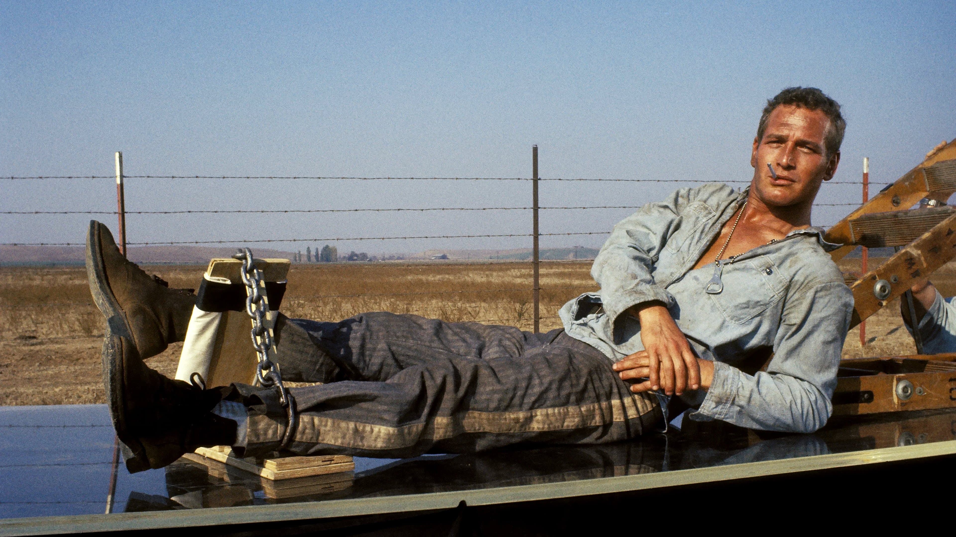 Cool Hand Luke Backdrop