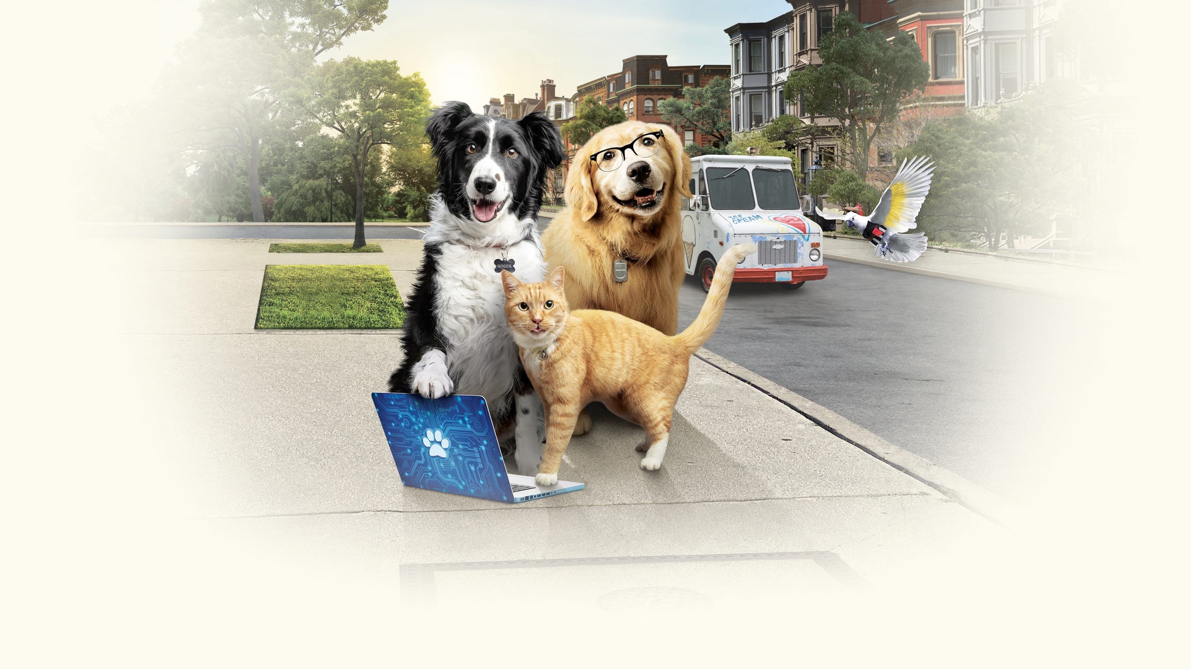 Cats & Dogs 3: Paws Unite Backdrop