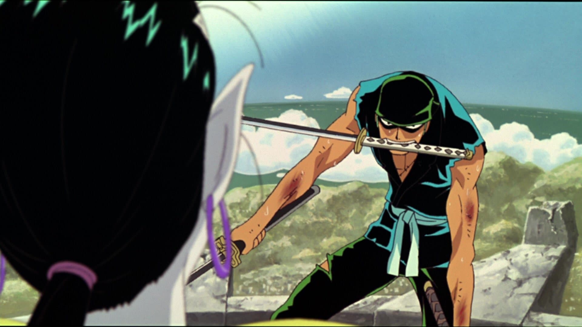 One Piece: Clockwork Island Adventure Backdrop