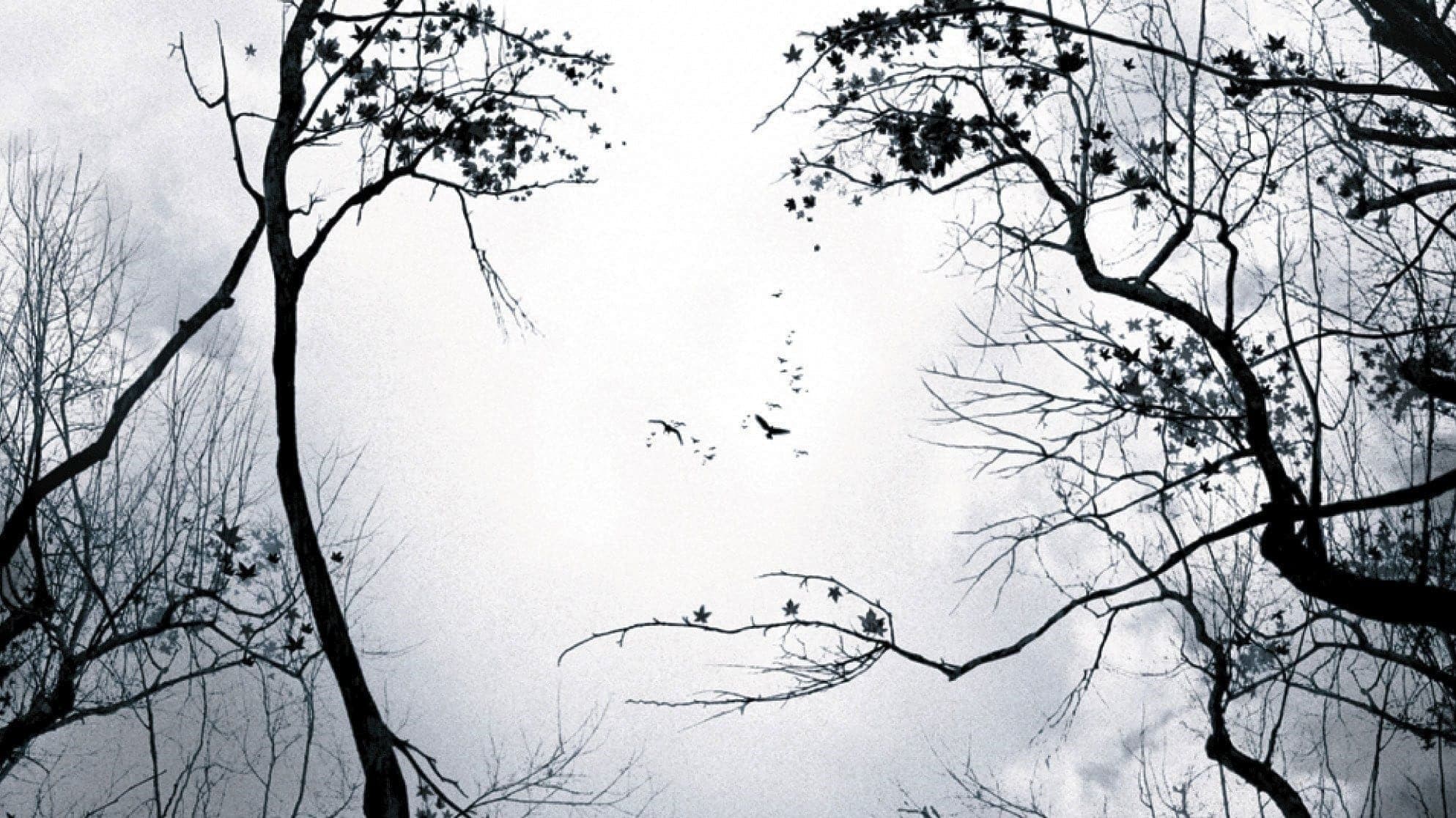 Premonition Backdrop
