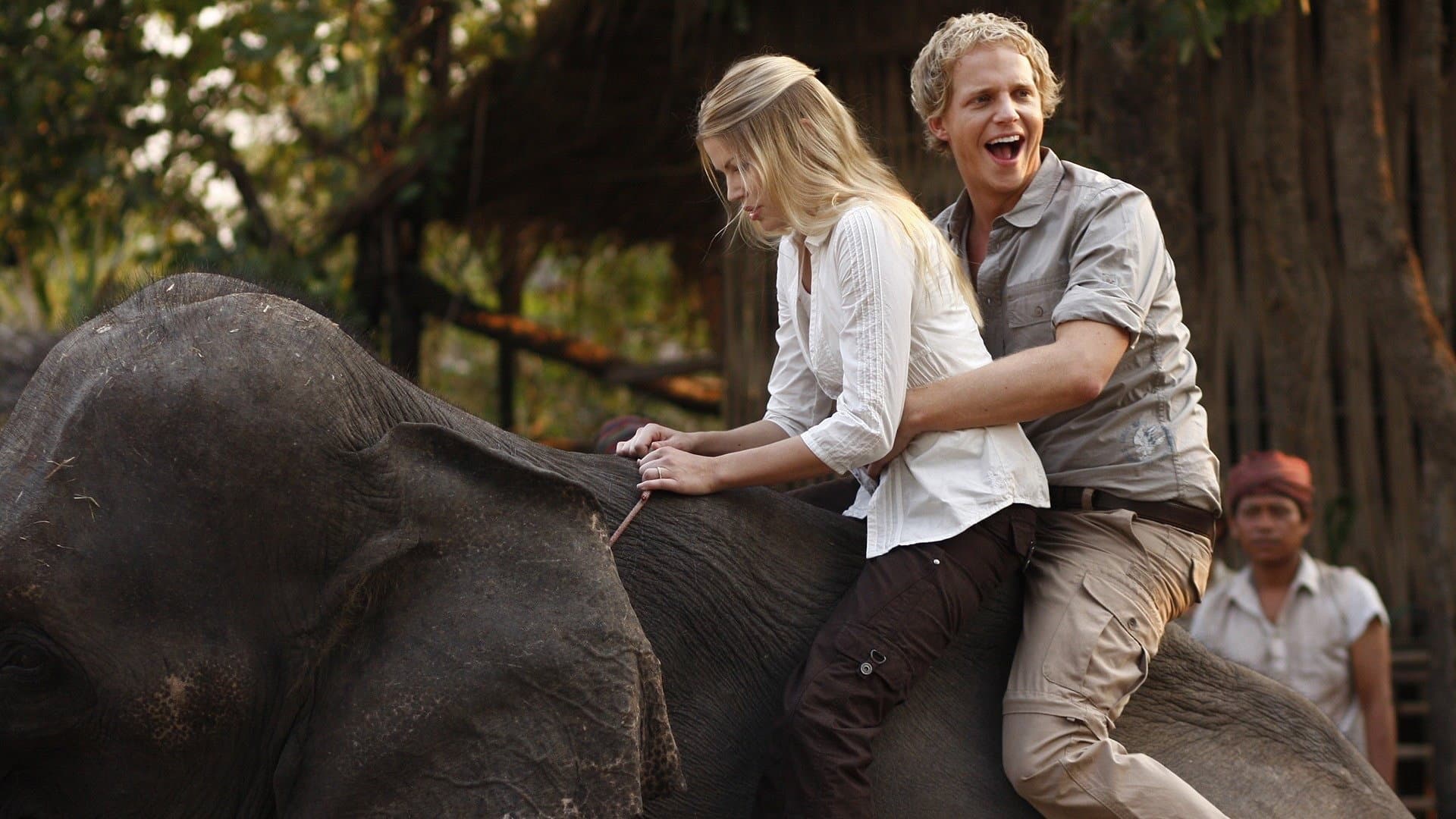 The Prince & Me 4: The Elephant Adventure Backdrop