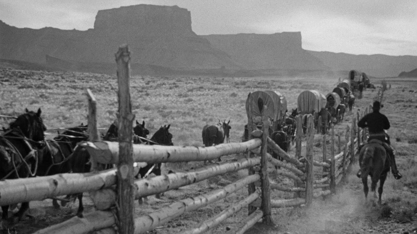 Wagon Master Backdrop