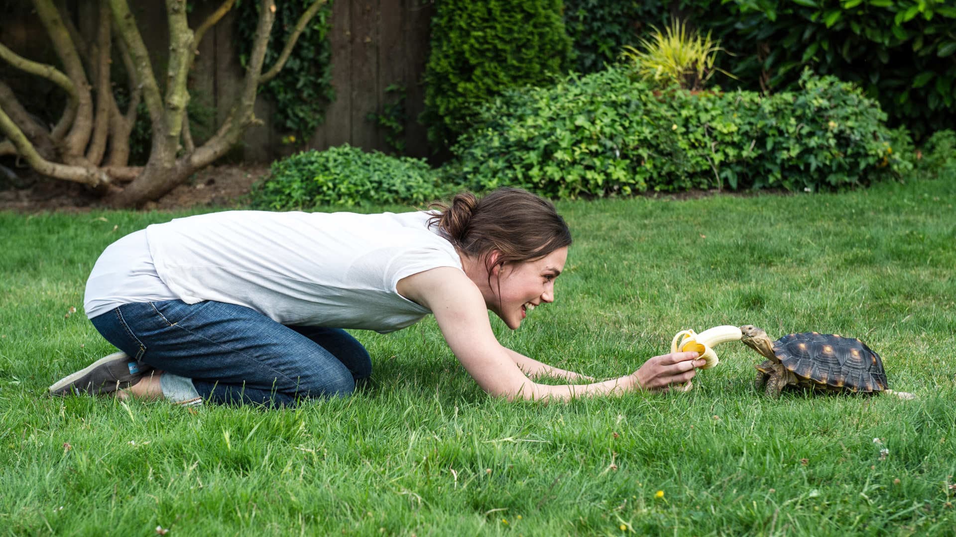 Laggies Backdrop