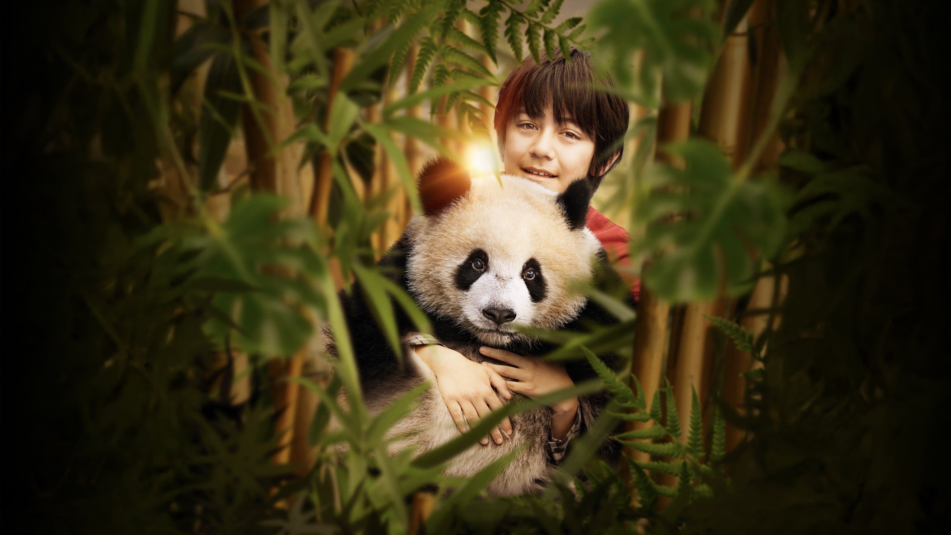 Moon the Panda Backdrop
