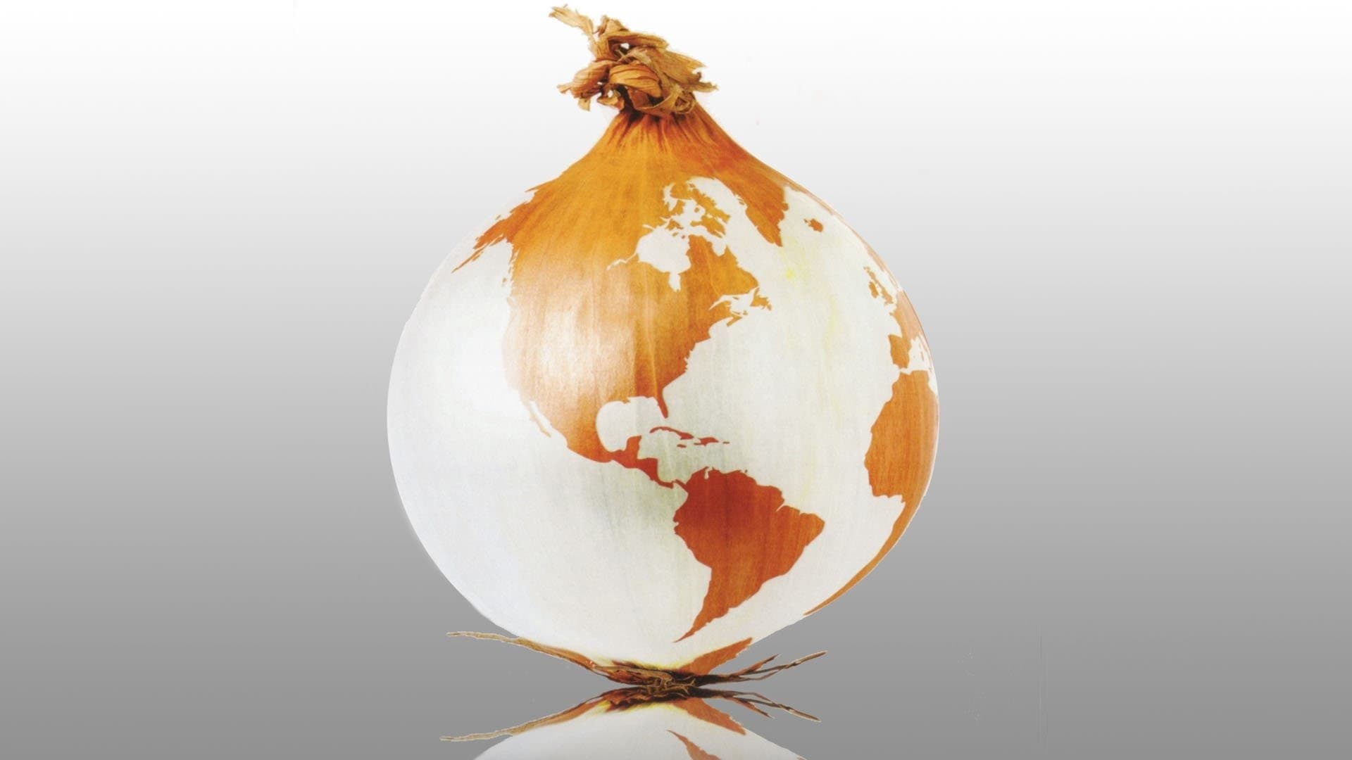 The Onion Movie Backdrop