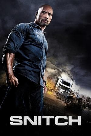 Snitch Poster