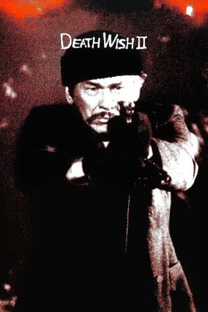 Death Wish II Poster