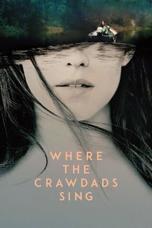 Where the Crawdads Sing Poster